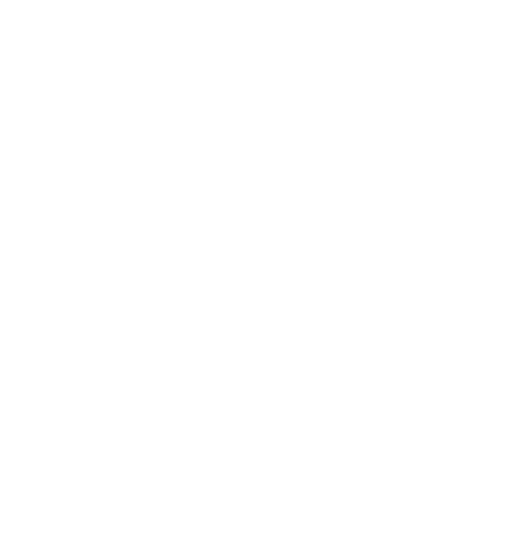 MIDI - Matematikų ir Informatikų Dienos